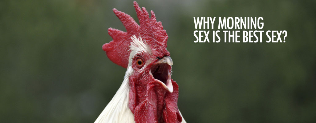 Why morning sex is the best sex